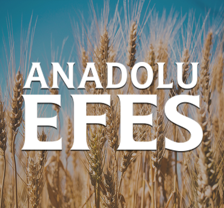 Bayraktar Grup - Miller